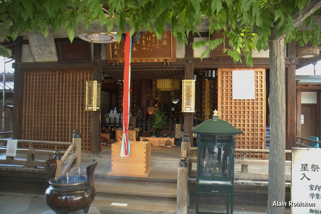 DSC_3528.jpg