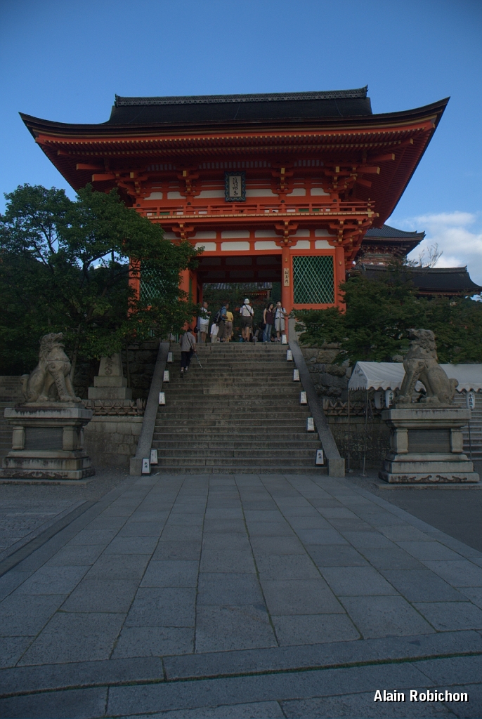 DSC_3532.jpg