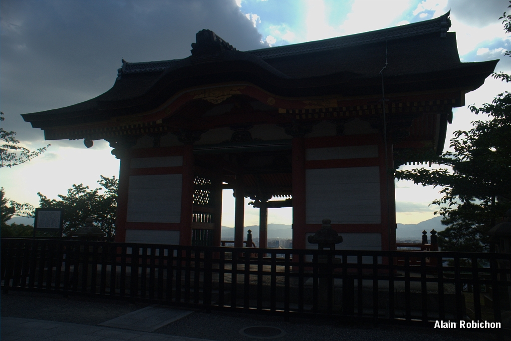 DSC_3536.jpg