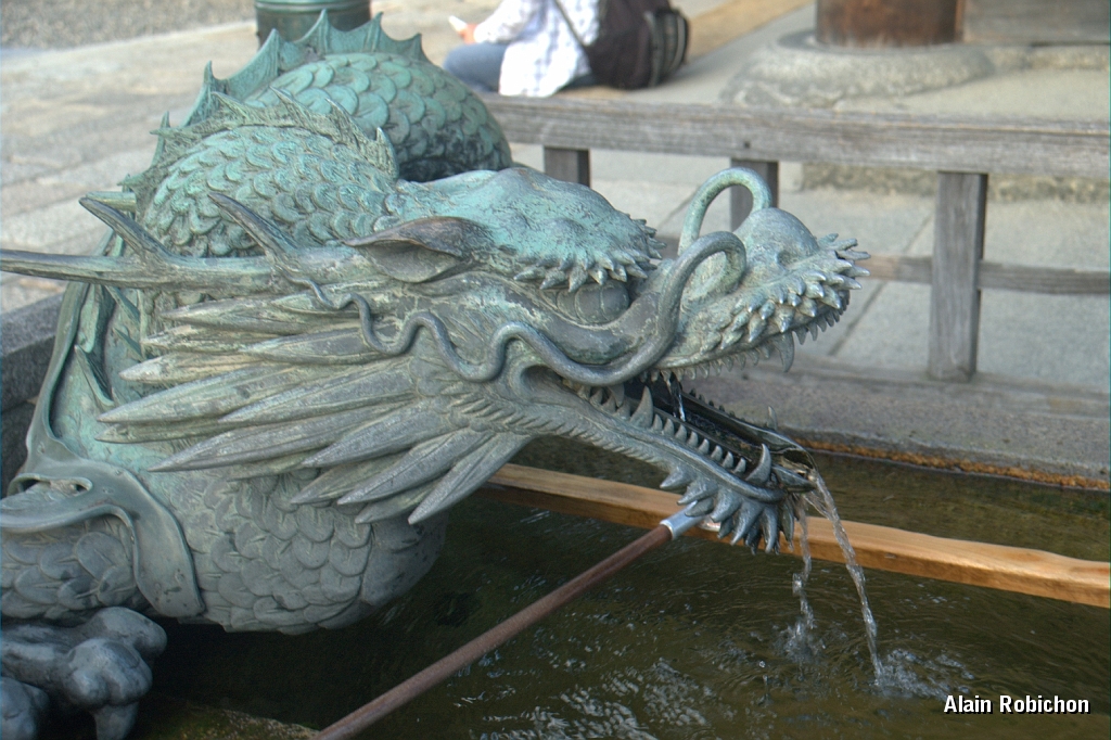 DSC_3544.jpg