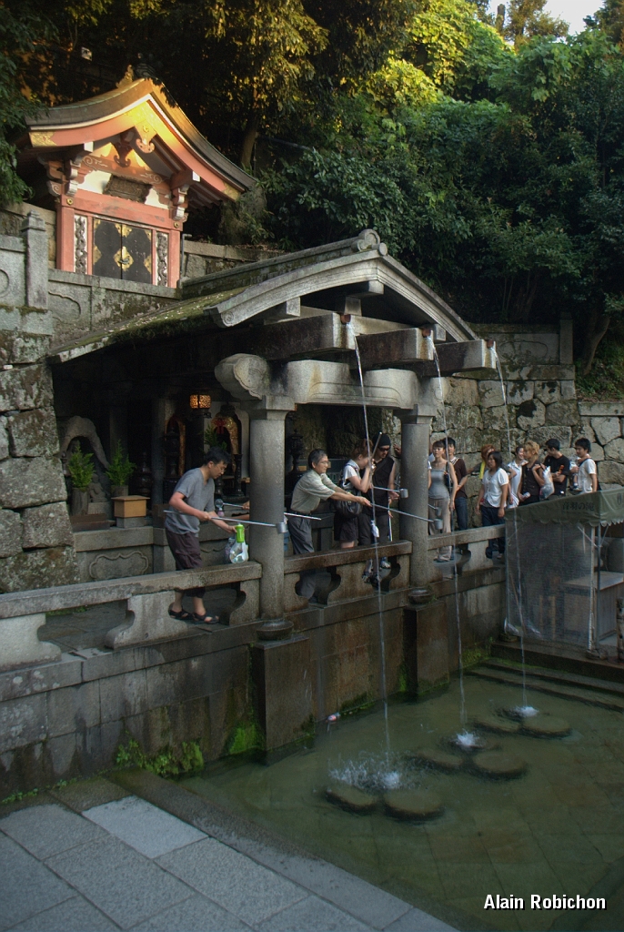DSC_3552.jpg
