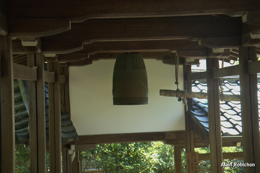 DSC_3567.jpg