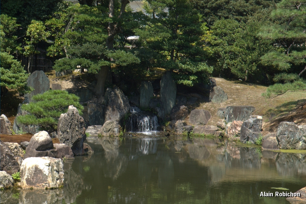 DSC_3594.jpg