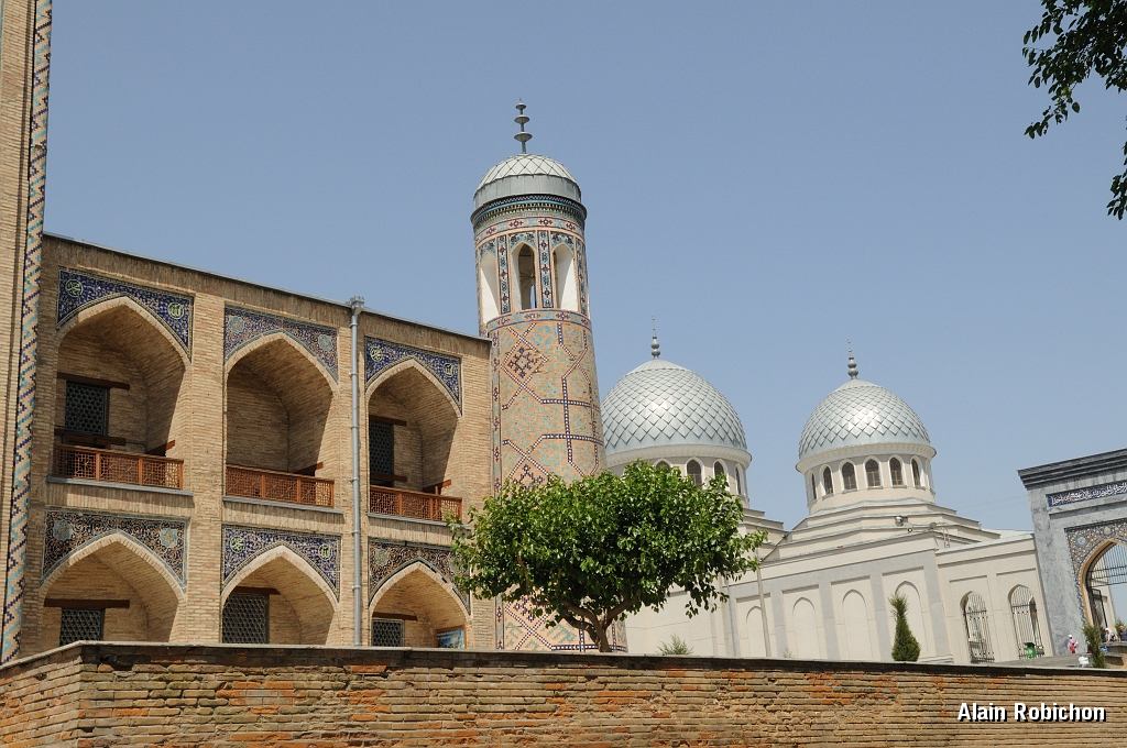DSC_0256.jpg