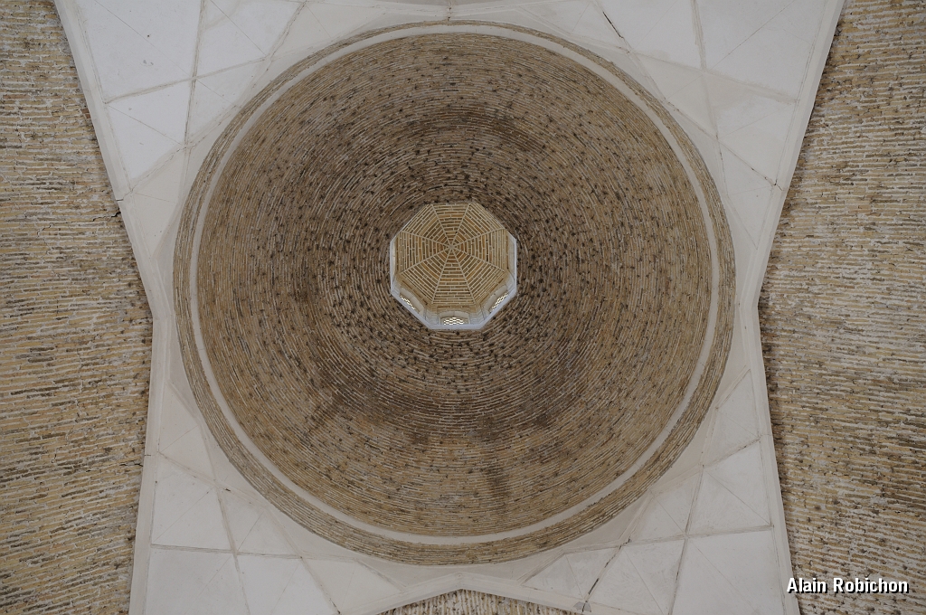 DSC_0391.jpg