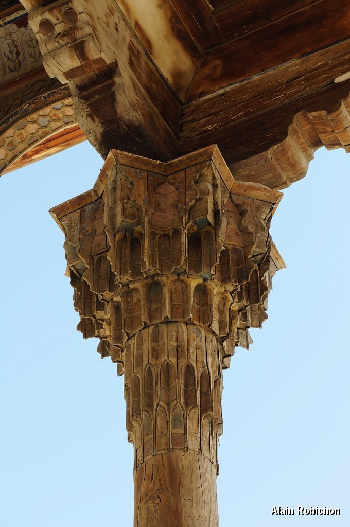 DSC_0421.jpg