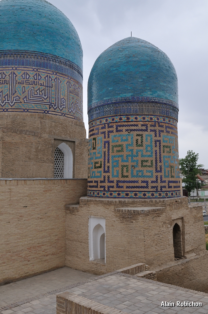 DSC_0695.jpg