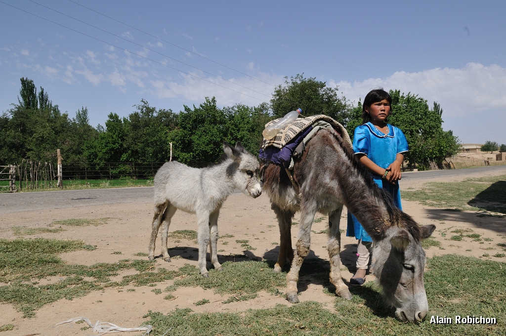DSC_0744.jpg