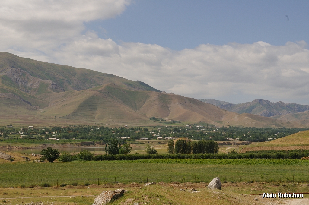 DSC_0772.jpg
