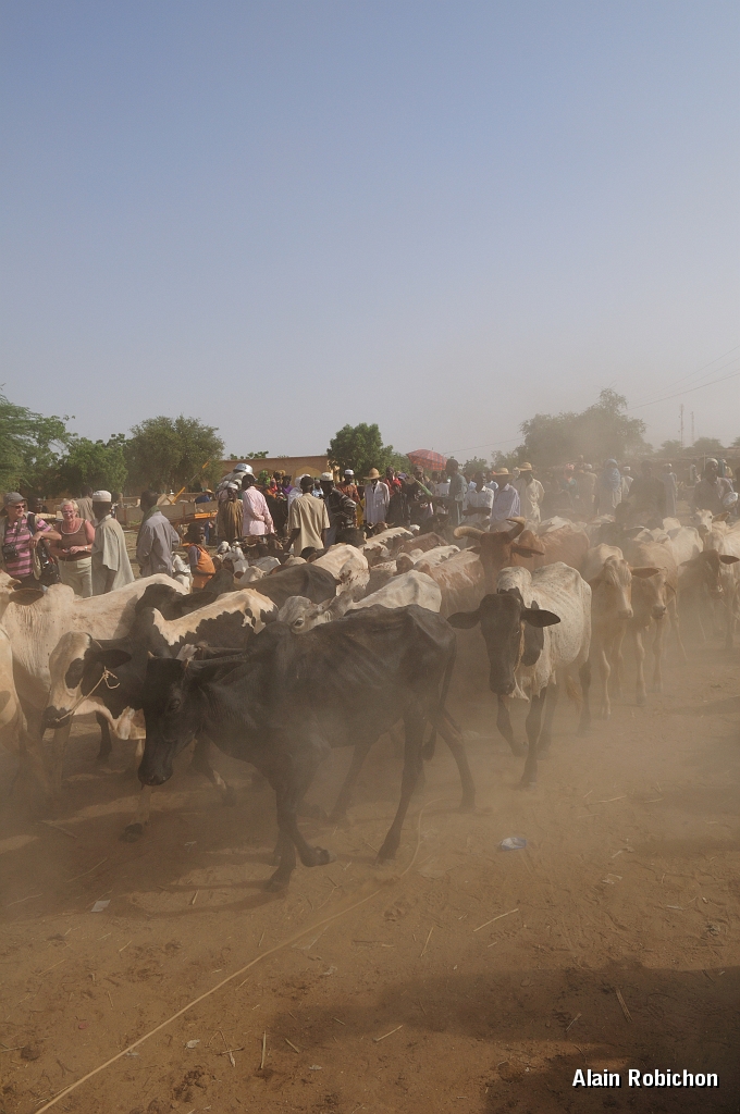 mali045.jpg