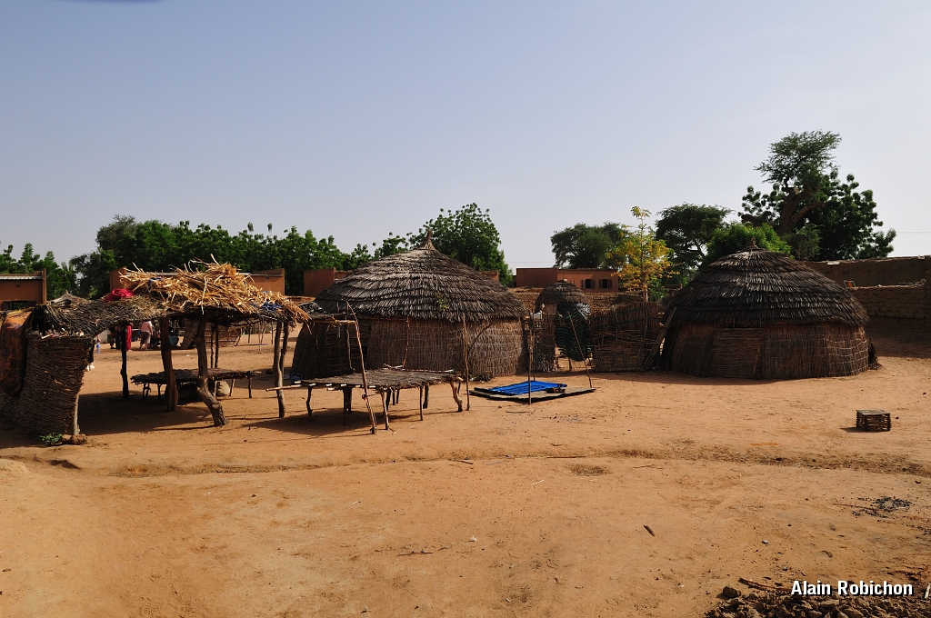 mali053.jpg