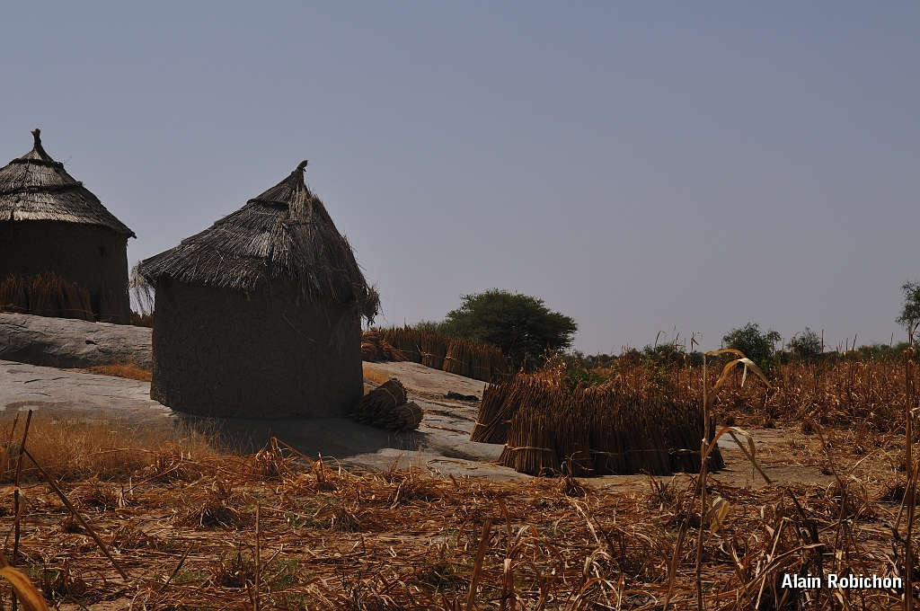 mali065.jpg
