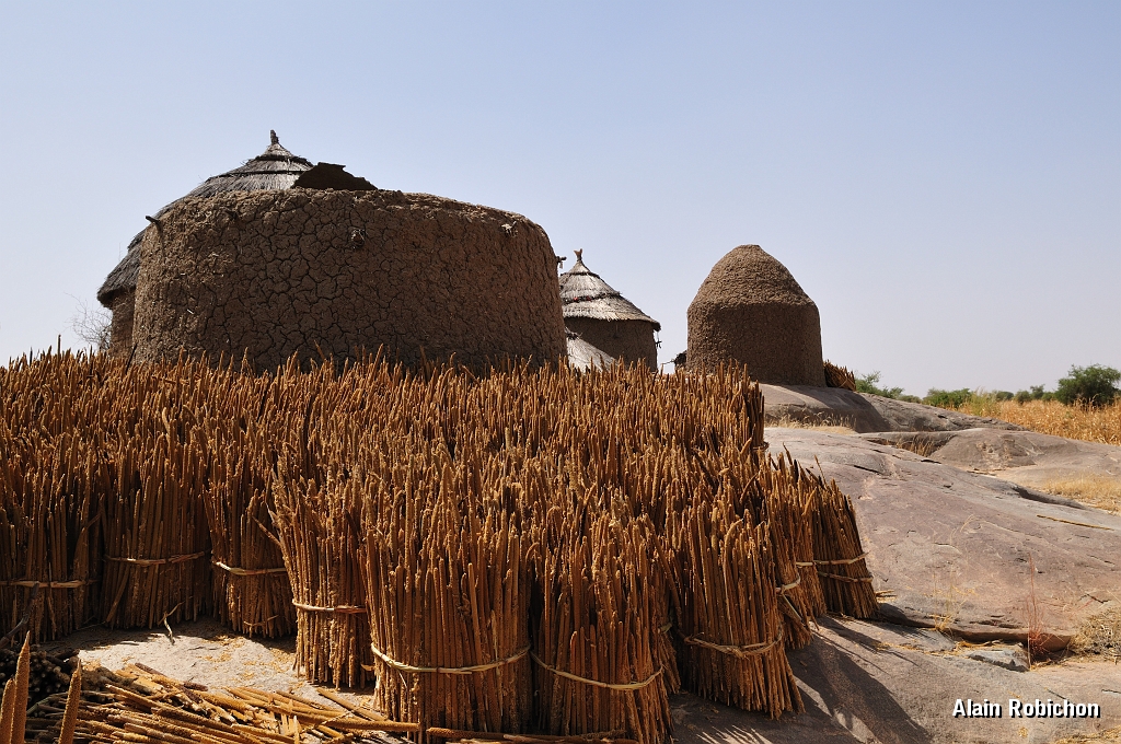 mali066.jpg