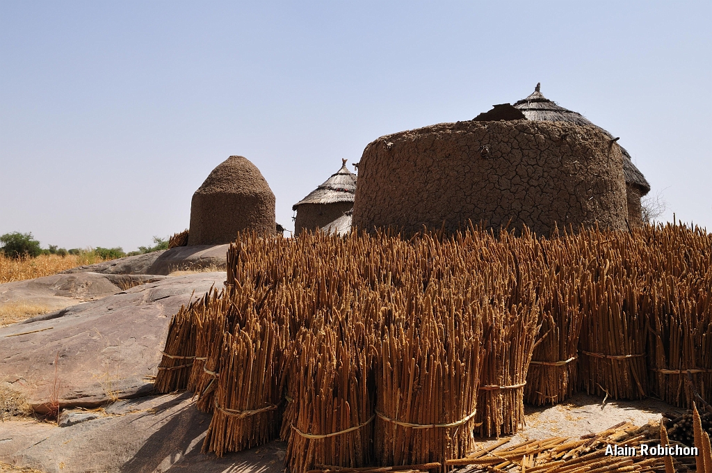 mali066bis.jpg