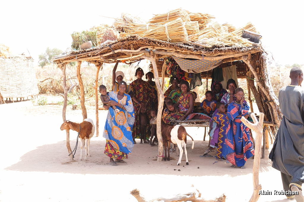 mali078.jpg