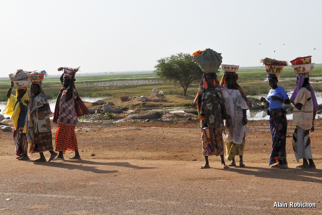 mali093.jpg