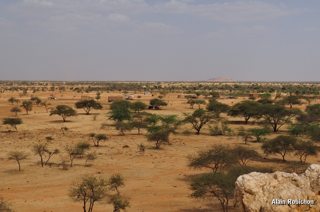 mali110.jpg