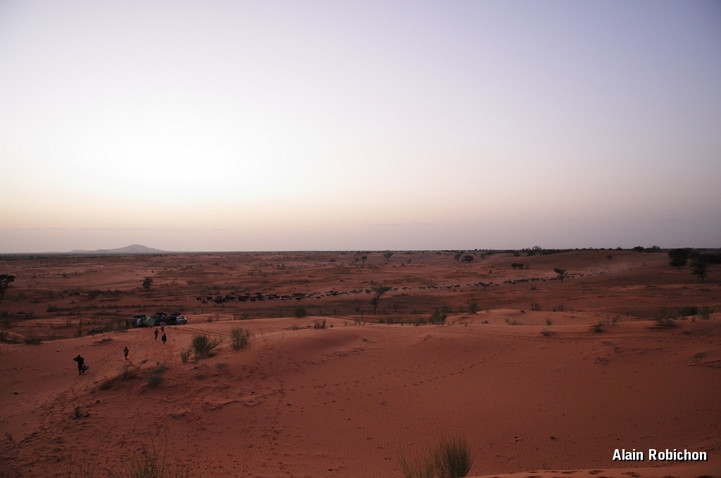 mali126.jpg