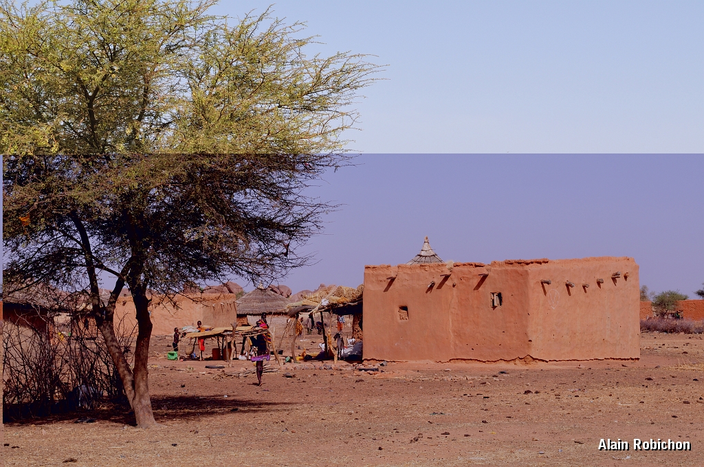 mali160.jpg