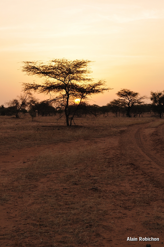 mali172.jpg