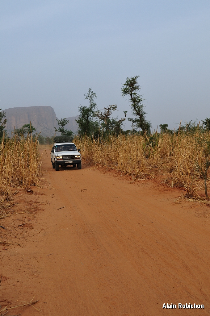 mali222.jpg