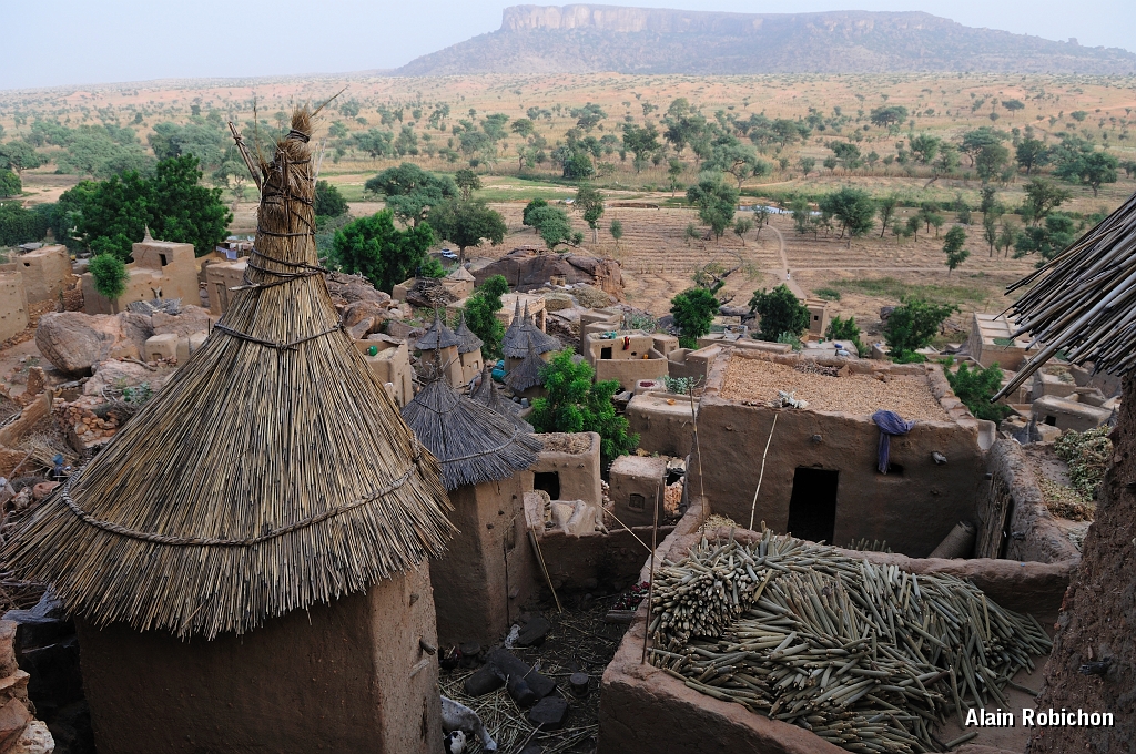 mali251