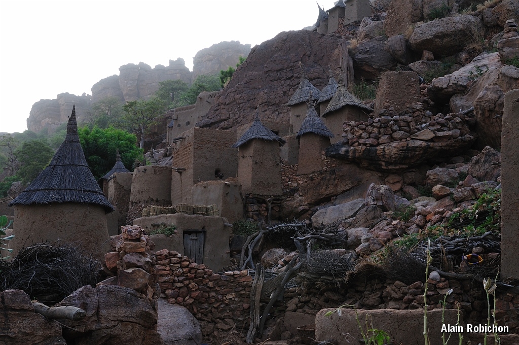 mali255.jpg