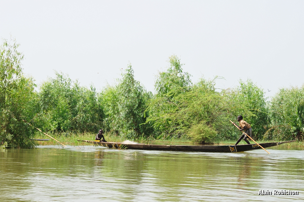 mali306.jpg