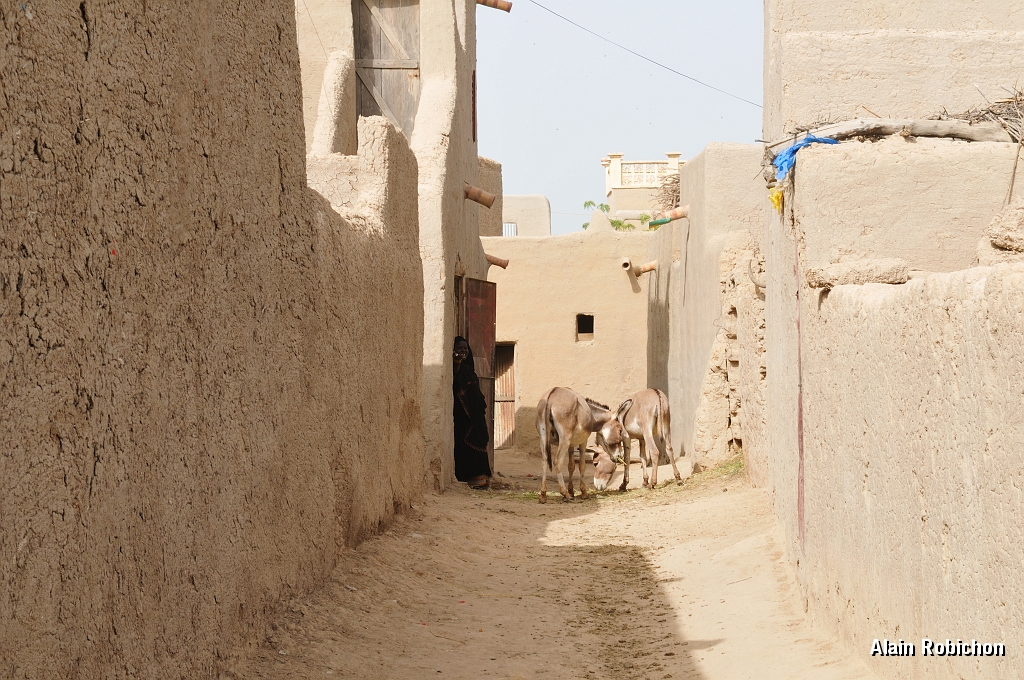 mali330.jpg