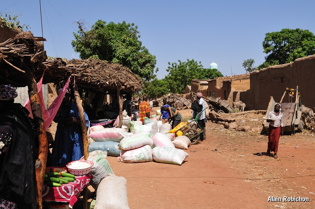 mali503.jpg