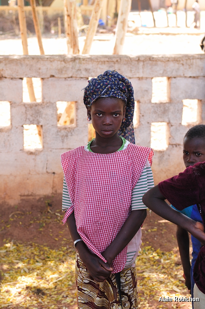 mali504.jpg