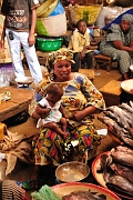 mali013