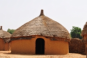 mali031
