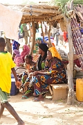 mali043