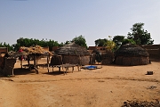 mali053