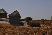 mali065