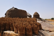 mali066