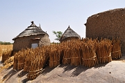 mali069