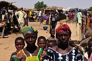 mali073
