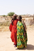 mali079