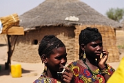 mali082