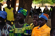 mali084