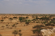 mali110