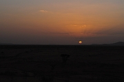 mali122