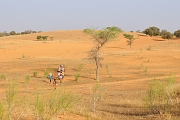 mali145