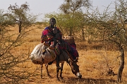 mali154
