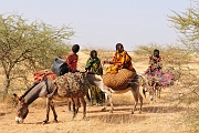 mali155