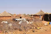 mali162