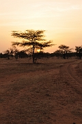 mali172