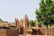 mali203